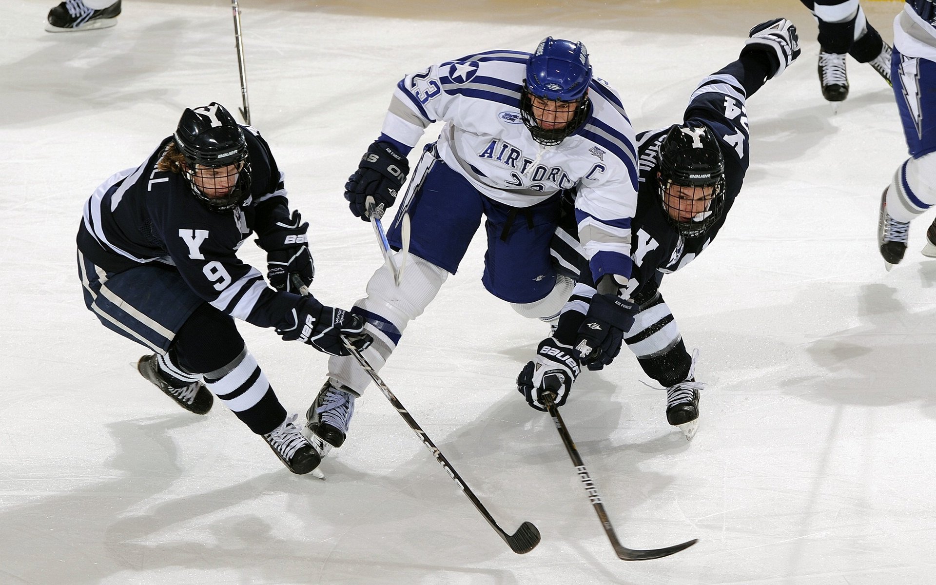谢佩玲精彩表现引爆赛场气氛，谢佩璇个人资料
